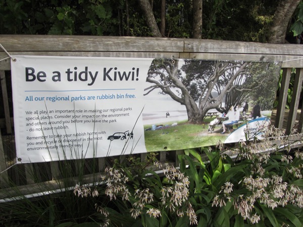 Tidy kiwi sign