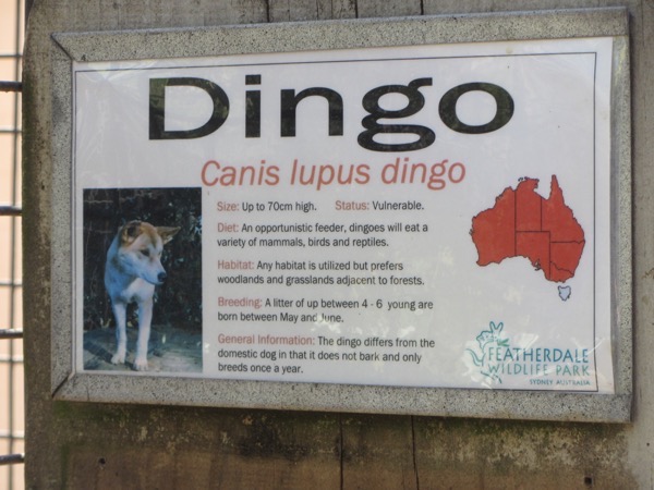 Dingo sign