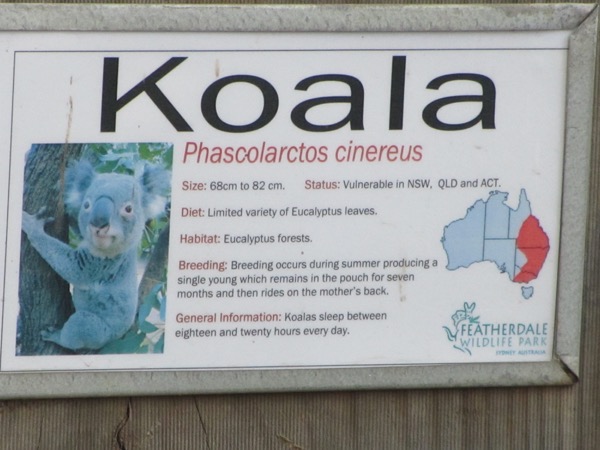 Koala sign