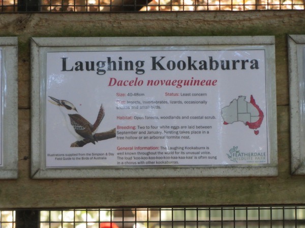 Kooka sign