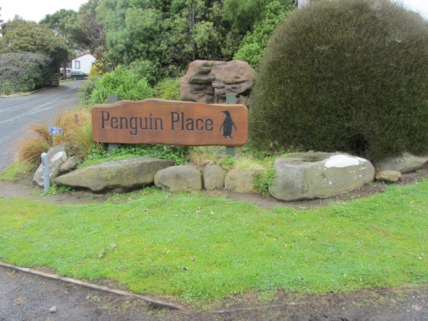 Penguin Place 1