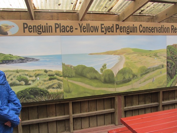 Penguin Place 2