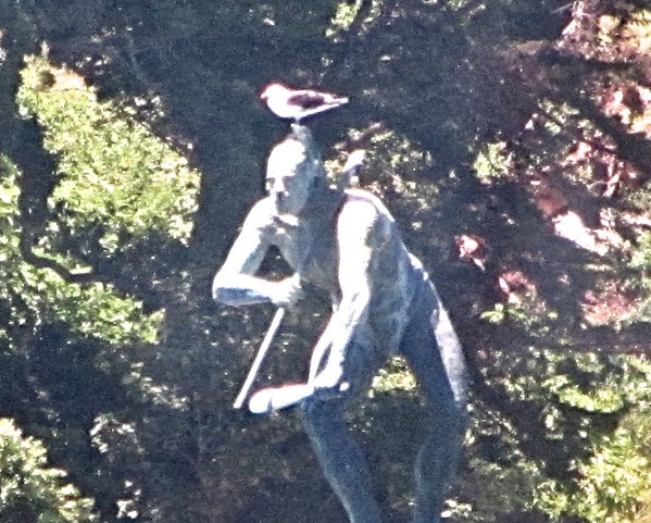 Statue vs birdie