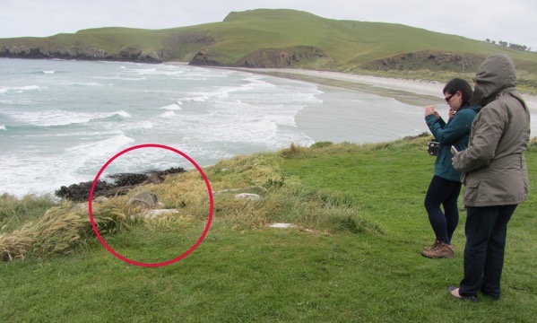 Close encounters  circled