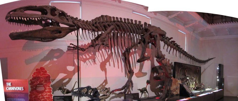 Gigantosaur pano.jpg