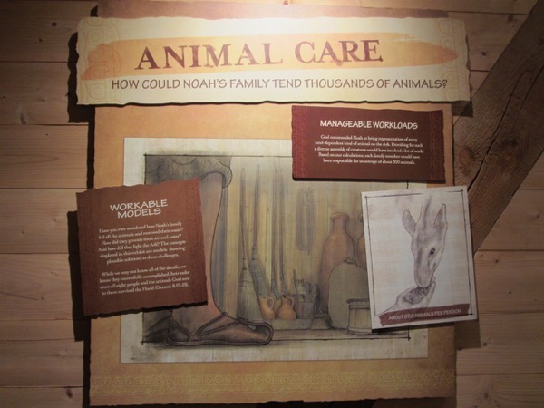 animal care