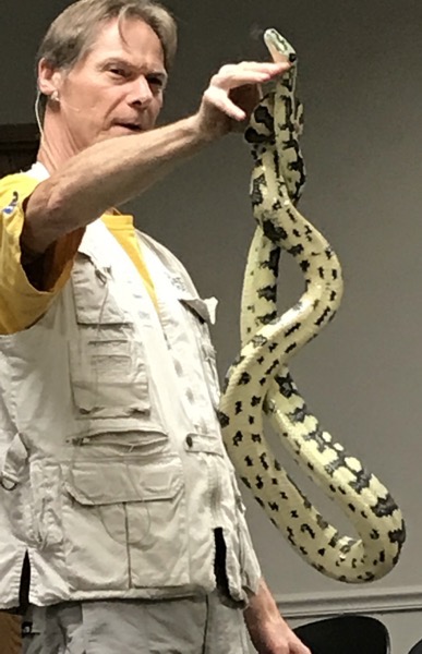 Snakes Alive