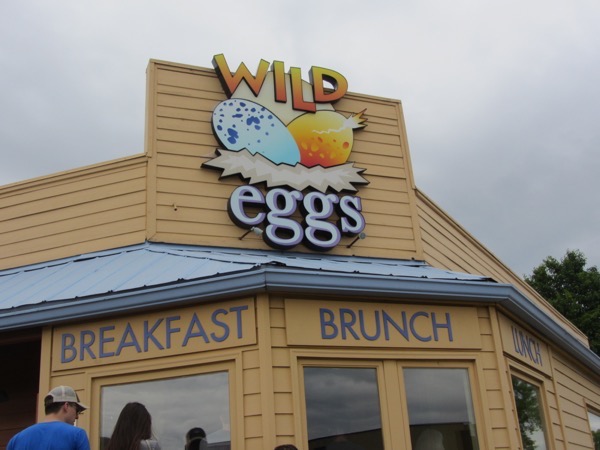 Wild Eggs