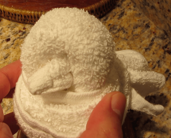 Towel bird